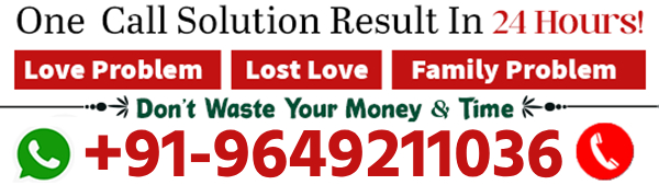   Astrologer  Pandit Vikash shastri Ji
